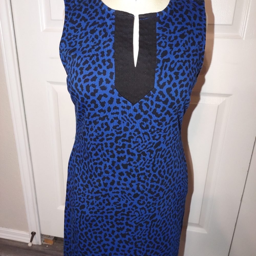 New York & Company Blue Animal Print Mini Dress